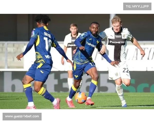 帕尔马2-1险胜维罗纳，佩莱格里诺补时绝杀助球队脱离降级区